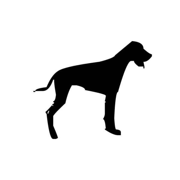 Honden-12