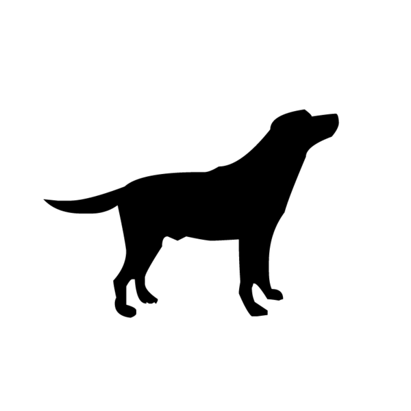Honden-20