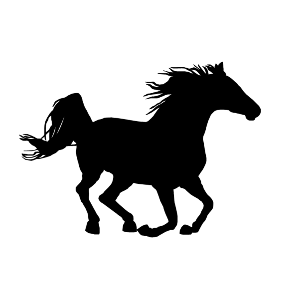 Paard-06