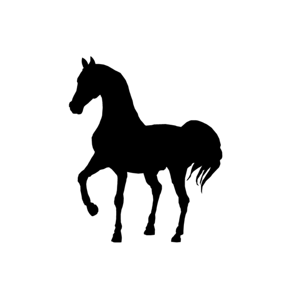 Paard-08