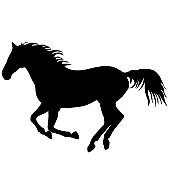 Paard-09