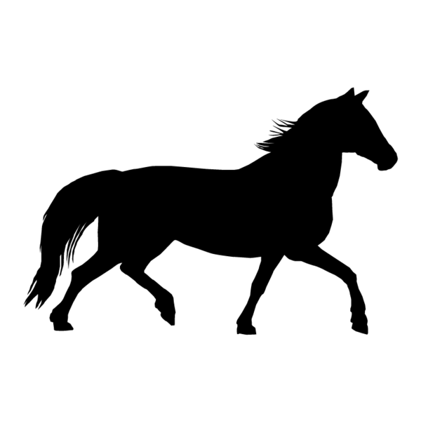 Paard-11
