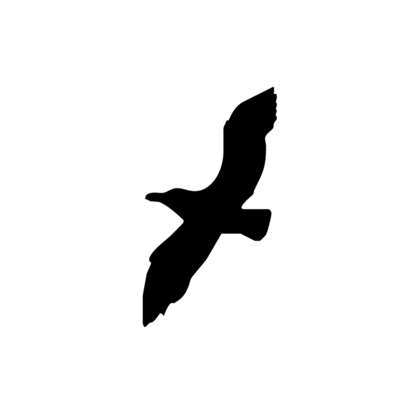 Vogels-09